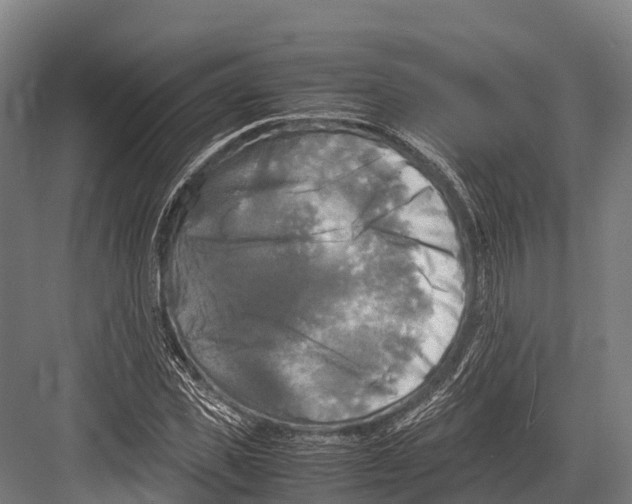 X0000081590925200702121510