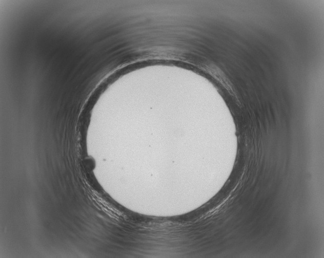 X0000081590926200702121510