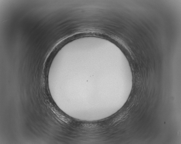 X0000081590927200702121510