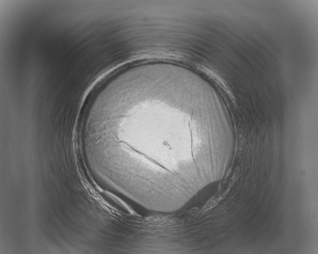 X0000081590928200702121510