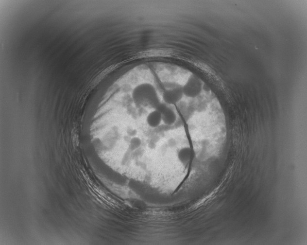 X0000081590929200702121510