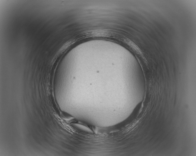 X0000081590930200702121510