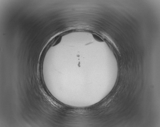 X0000081590932200702121510