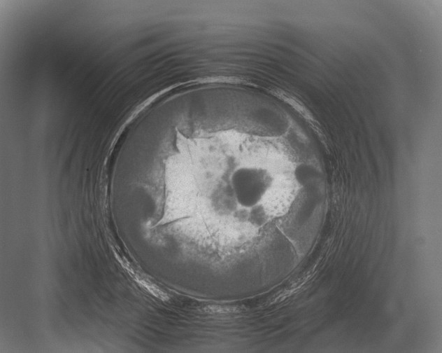 X0000081590933200702121510