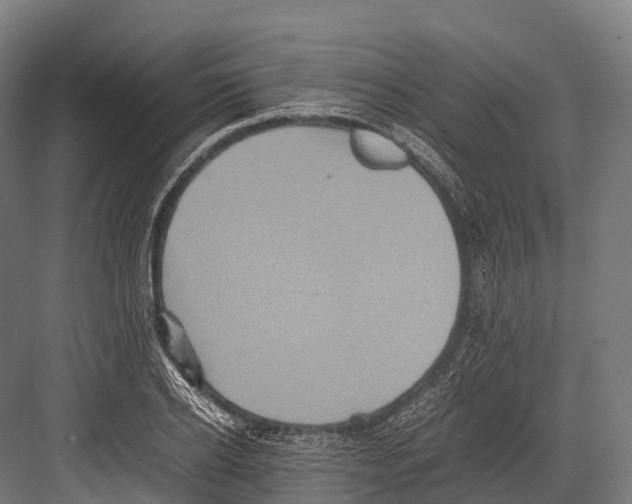 X0000081590934200702121510