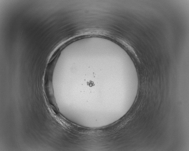 X0000081590936200702121510