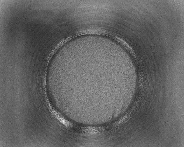 X0000081590938200702121510