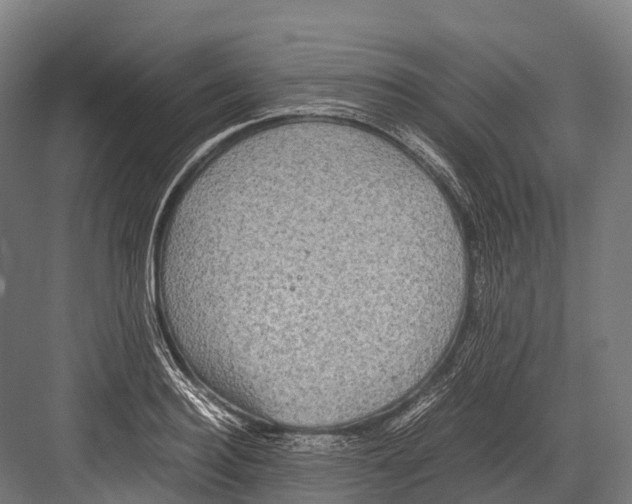 X0000081590940200702121510