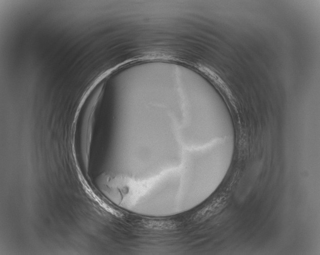 X0000081590941200702121510