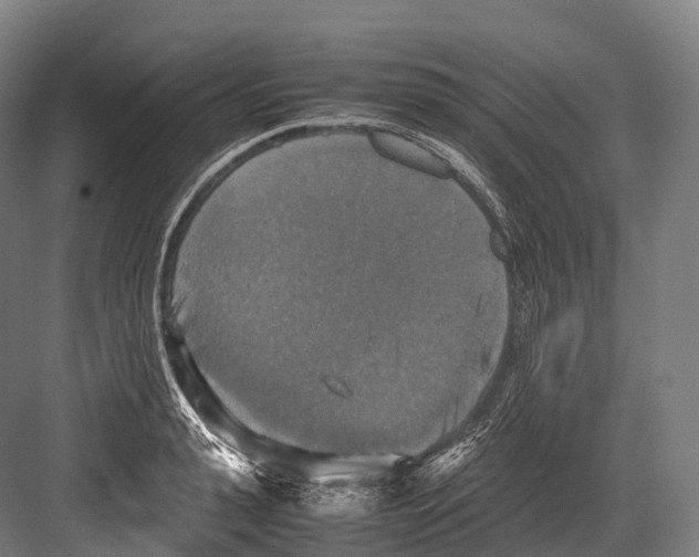 X0000081590943200702121510