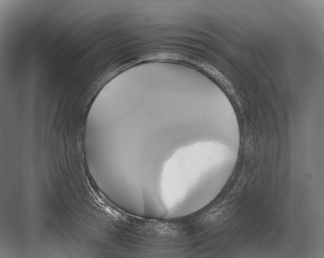 X0000081590945200702121510