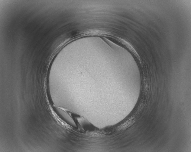 X0000081590946200702121510