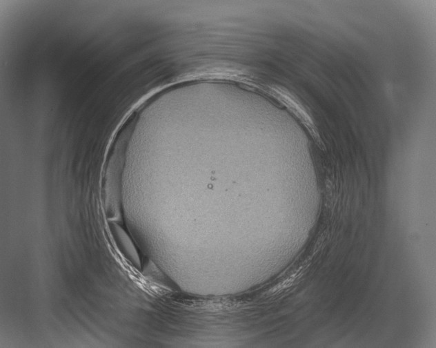 X0000081590948200702121510