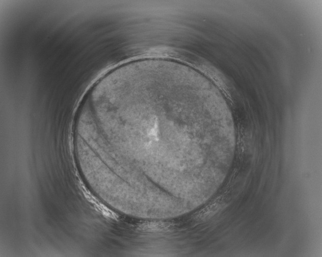 X0000081590950200702121510