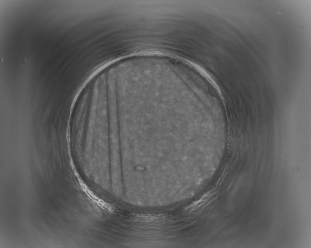 X0000081590951200702121510