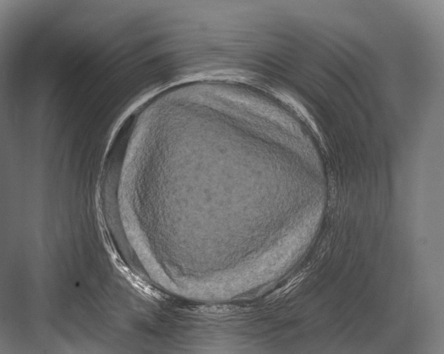 X0000081590952200702121510