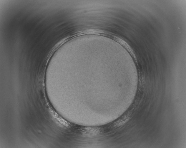 X0000081590954200702121510