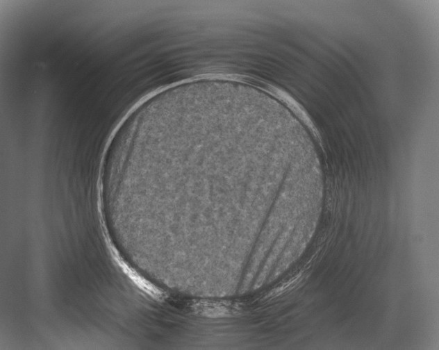 X0000081590955200702121510