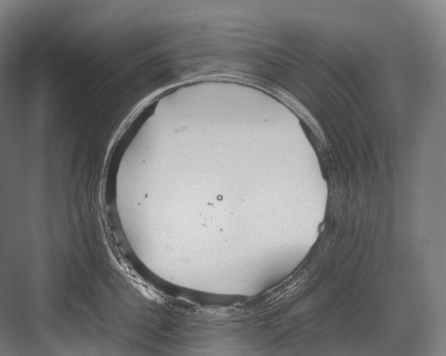 X0000081590956200702121510