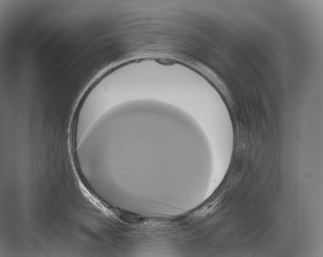 X0000081590958200702121511