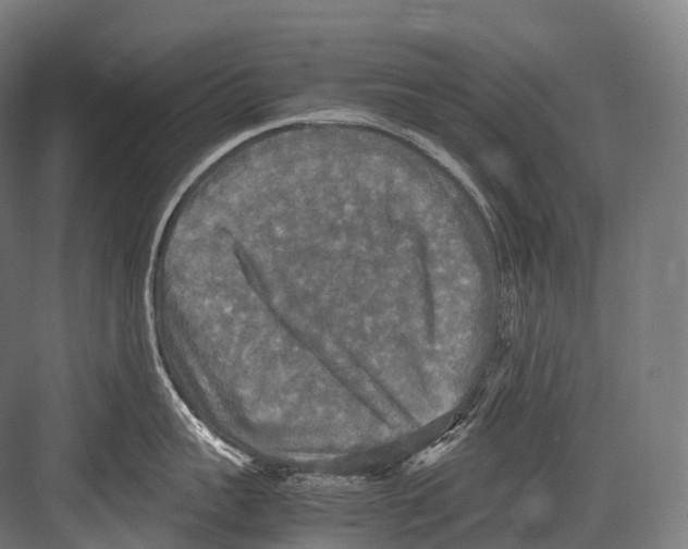 X0000081590959200702121511