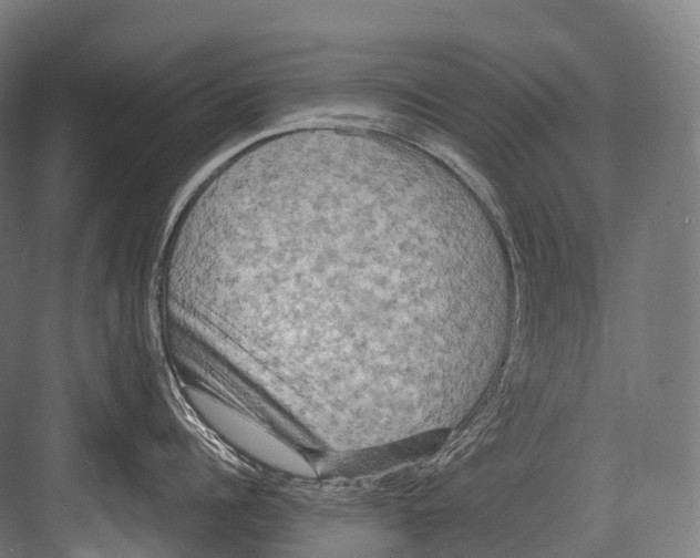 X0000081590960200702121511