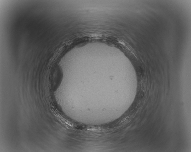 X0000081590961200702121510