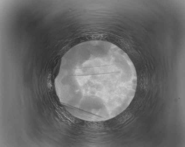 X0000081590962200702121510