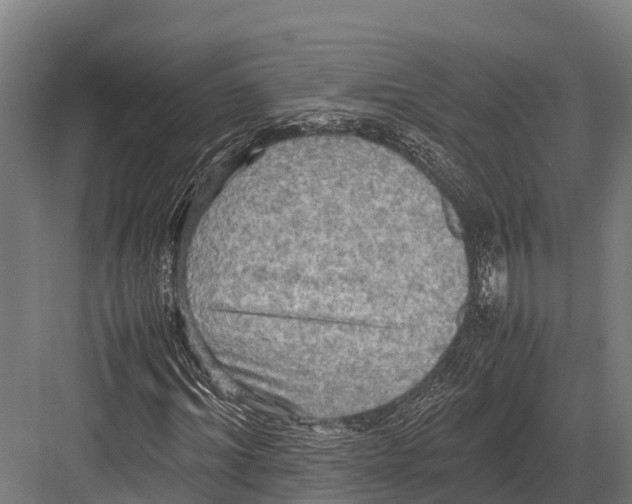 X0000081590964200702121510