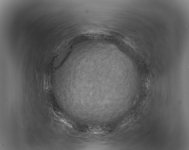 X0000081590965200702121510