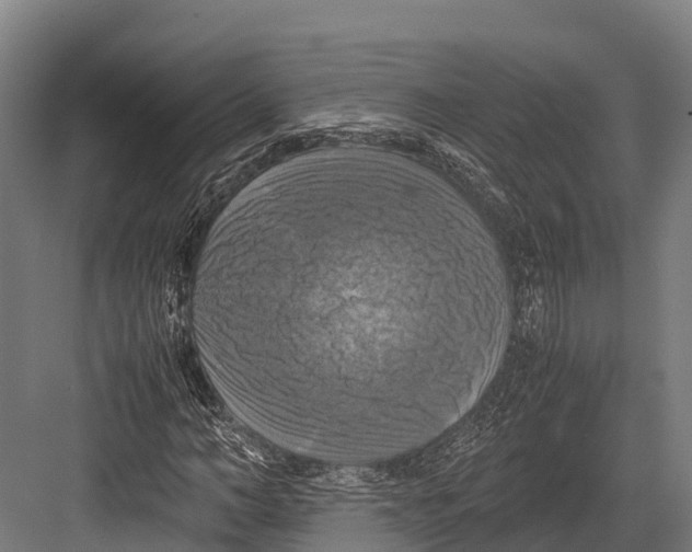 X0000081590966200702121510