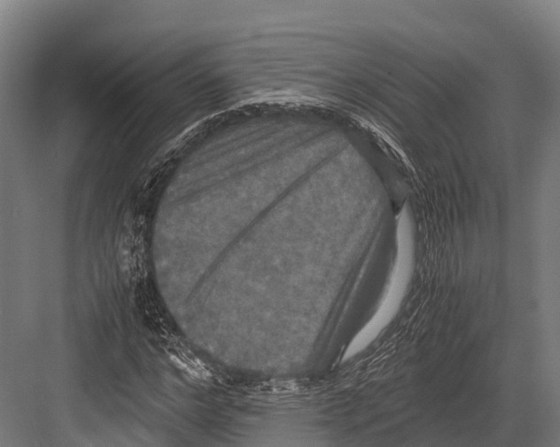 X0000081590968200702121510