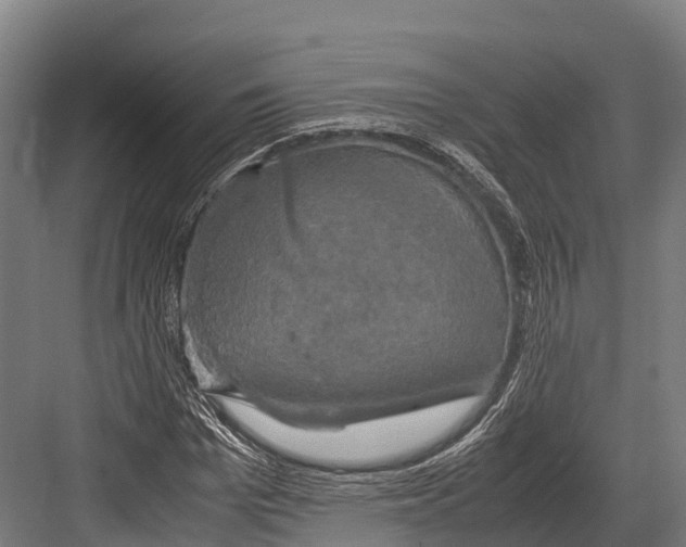 X0000081590969200702121510