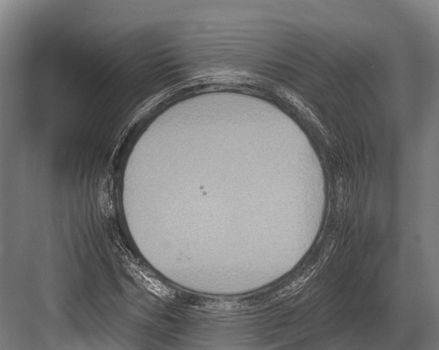 X0000081590970200702121510