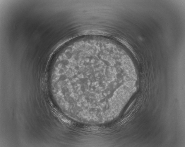 X0000081590971200702121510