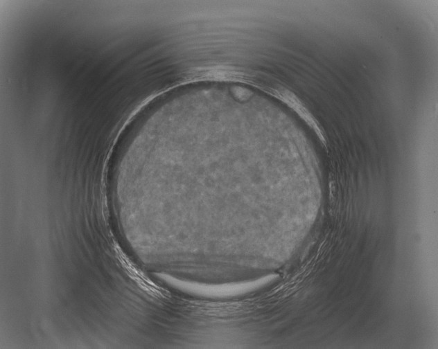 X0000081590972200702121510