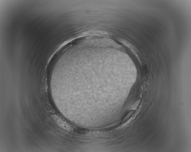 X0000081590973200702121510