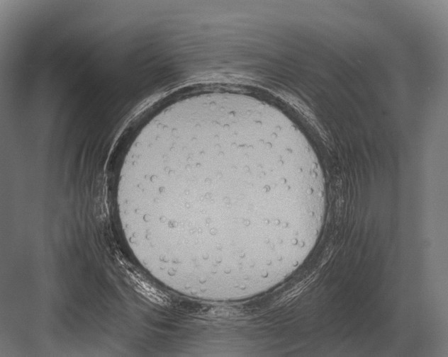 X0000081590974200702121510