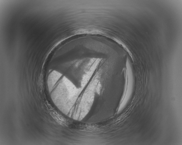 X0000081590975200702121510