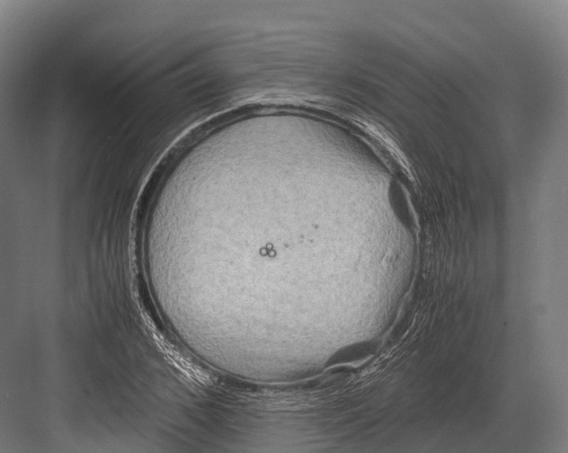 X0000081590976200702121509