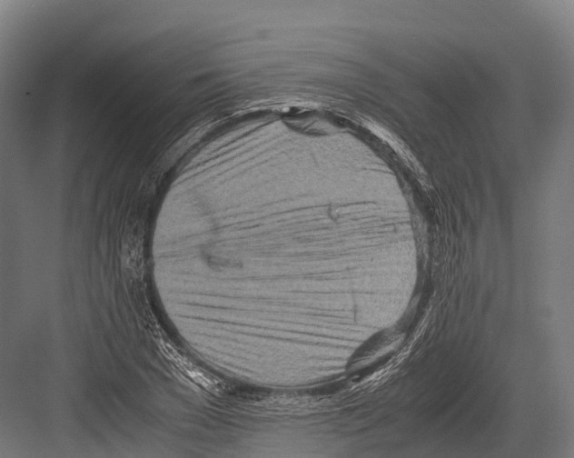 X0000081590977200702121509