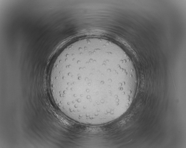 X0000081590978200702121509