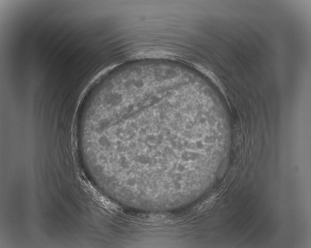 X0000081590979200702121509