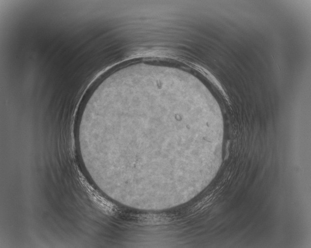 X0000081590980200702121509