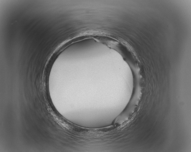 X0000081590981200702121509