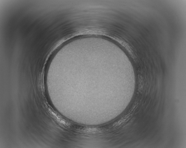 X0000081590982200702121509