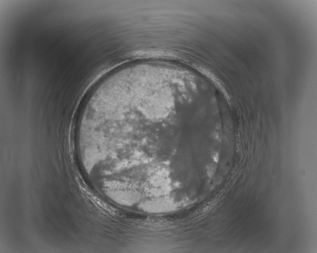 X0000081590983200702121509