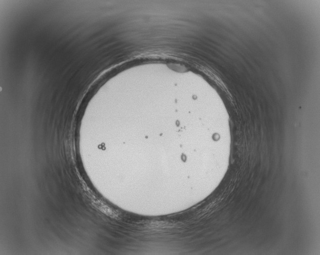 X0000081590984200702121509