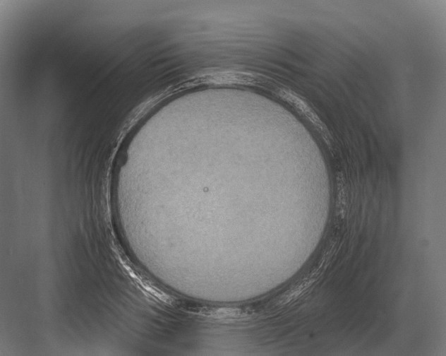 X0000081590986200702121509