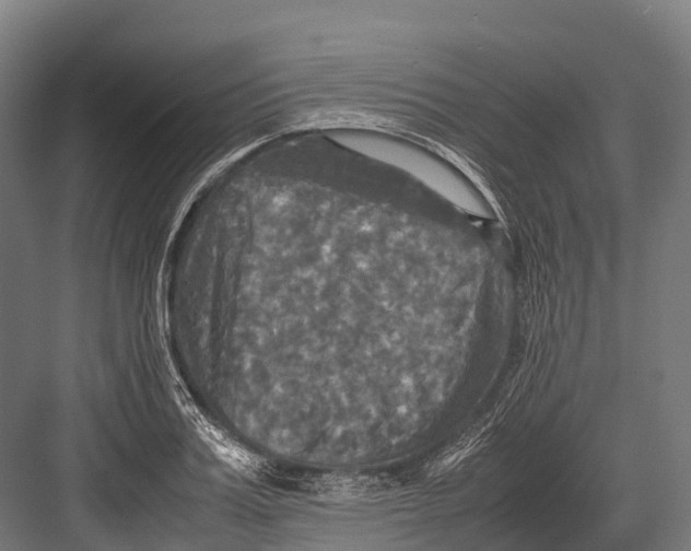 X0000081590987200702121509